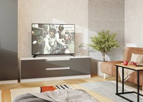 Тумба ТВ большая Парус (Белый/Графит) в Ноябрьске - noyabrsk.mebel24.online | фото 2