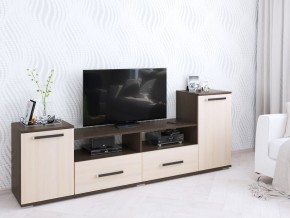 Тумба ТВ Парус-2 венге/дуб молочный в Ноябрьске - noyabrsk.mebel24.online | фото