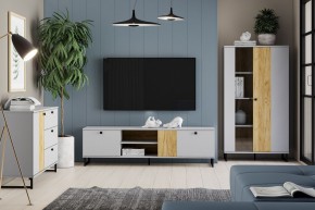 Тумба ТВА НМ 014.46 "Бруно" в Ноябрьске - noyabrsk.mebel24.online | фото 3
