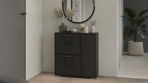 Тумбочка для обуви Тип 15 в Ноябрьске - noyabrsk.mebel24.online | фото 5