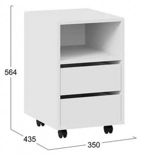 Тумбочка Тип 14 в Ноябрьске - noyabrsk.mebel24.online | фото 4