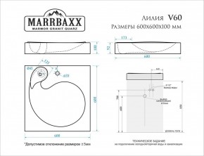 Умывальник над стиральной машиной (600*600х100) Лилия V60 (белый) с кронштейном без сифона (V60) в Ноябрьске - noyabrsk.mebel24.online | фото 2