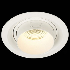 Встраиваемый светильник ST-Luce Zoom ST701.538.12 в Ноябрьске - noyabrsk.mebel24.online | фото 4