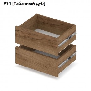 РОЛАНД Выдвижные ящики  Р76 в Ноябрьске - noyabrsk.mebel24.online | фото 10
