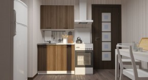 ЯНА Кухонный гарнитур Мини (1000 мм) в Ноябрьске - noyabrsk.mebel24.online | фото