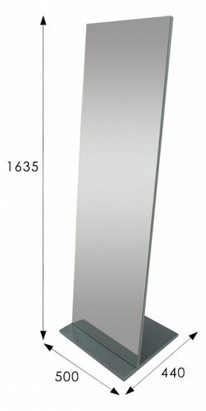 Зеркало напольное Стелла 2 в Ноябрьске - noyabrsk.mebel24.online | фото 9